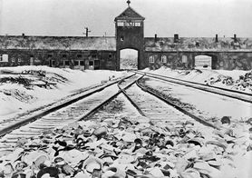 "Mengele nie mógł w to uwierzyć". Najlepsza akuszerka w Auschwitz