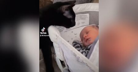 Filmik z ze śpiącym dzieckiem i kotkiem zrobił furorę w internecie