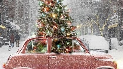 Przedświąteczne przygotowania 