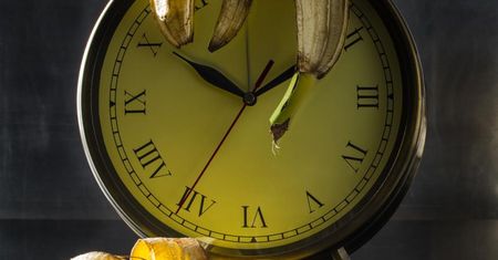 Vanitas - motyw śmiertelności w sztuce i literaturze