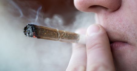 Rzucasz palenie? Wypróbuj papierosy z zielonej herbaty