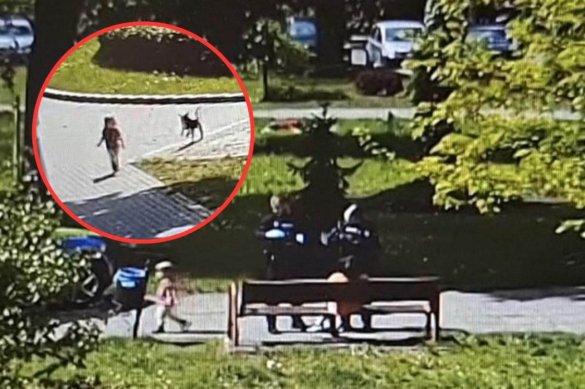 Trzylatka przy ruchliwej ulicy w Lęborku. Matka pod wpływem narkotyków