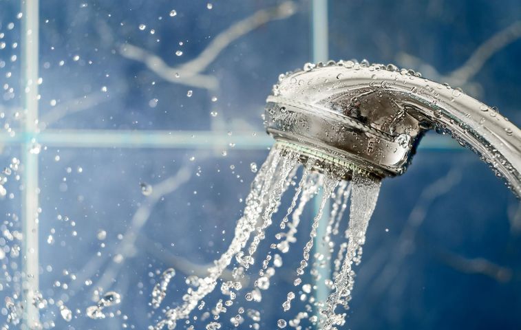 W słuchawce prysznicowej mogą rozwijać się groźne bakterie legionella 