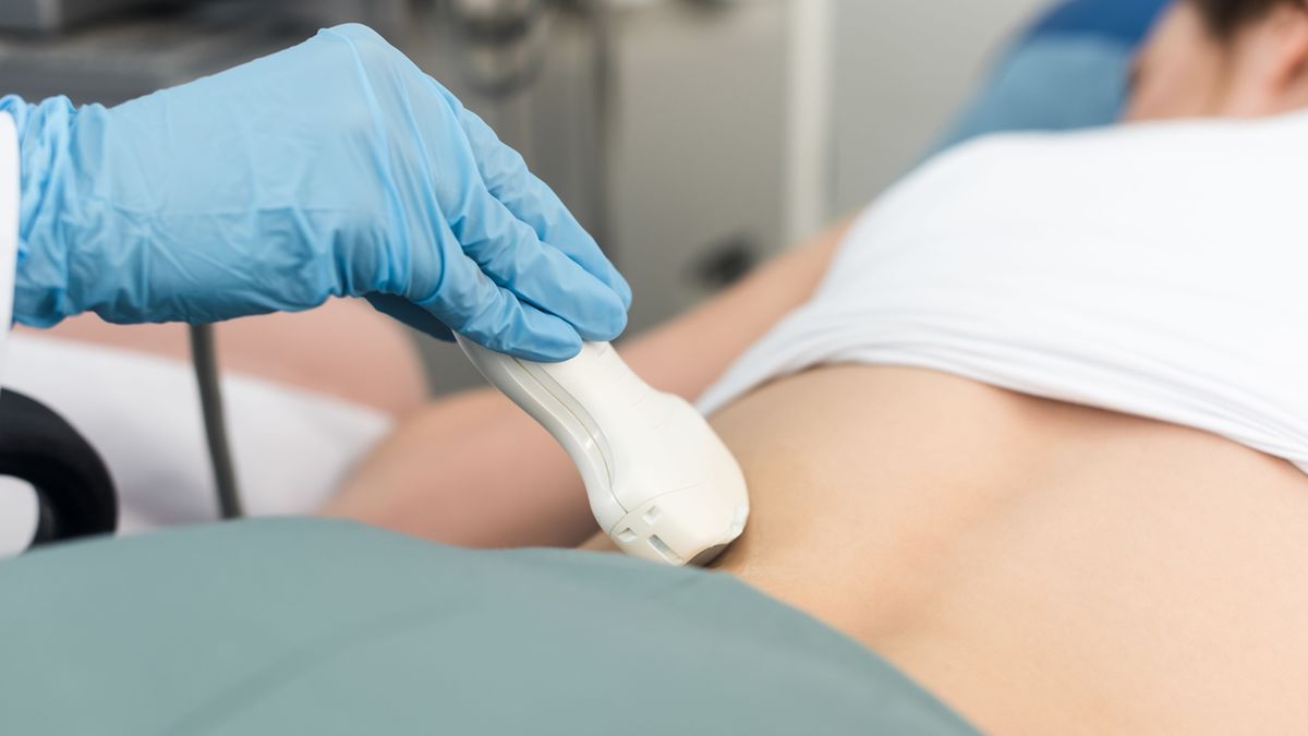 Nefrokalcynoza (wapnica nerek) to obecność licznych zwapnień w nerkach.