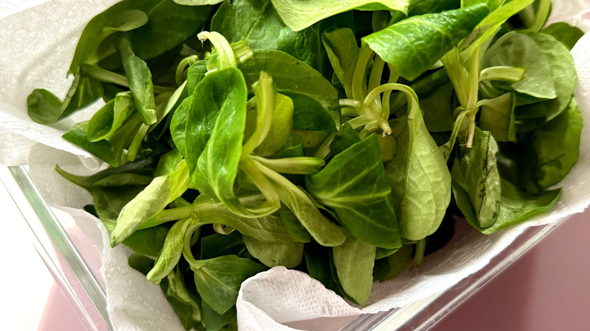 Roszponka może być wartościowym dodatkiem do codziennych posiłków, jeśli jest elementem urozmaiconej i dobrze zbilansowanej diety.