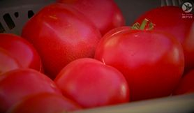 Wady i zalety diety Dukana (WIDEO)