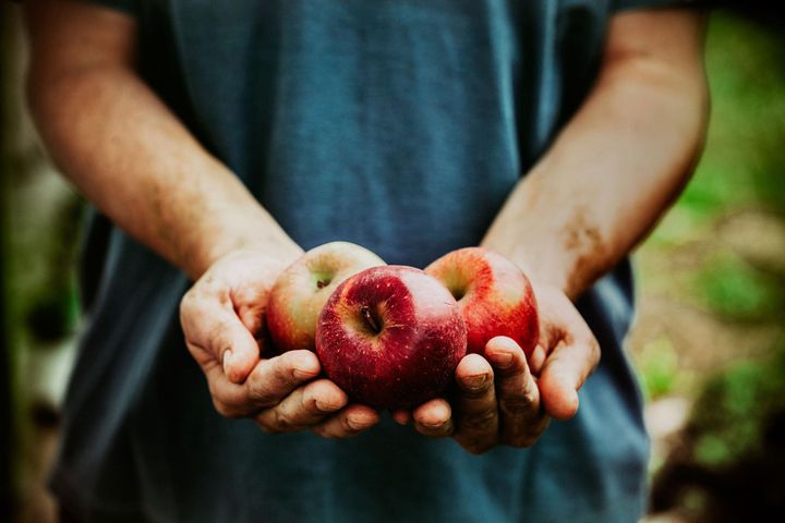 Jabłka przyspieszają metabolizm i usuwają toksyny z organizmu