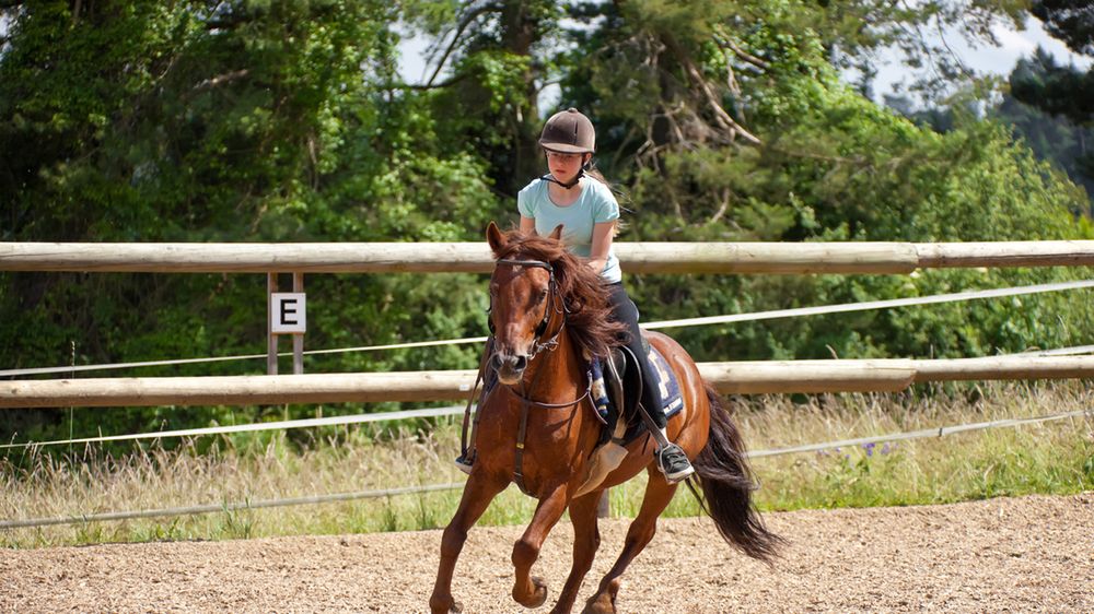 Stres a nauka nowych umiejętności