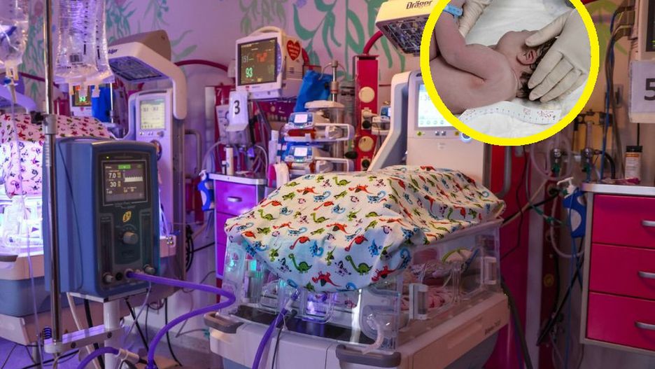 Trojaczki szukają domu. Zostały bez rodziców