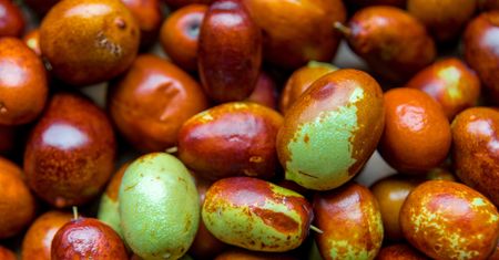 Olejek jojoba – właściwości, stosowanie, efekty