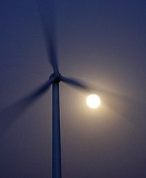 Pikieta ws. elektrowni wiatrowych