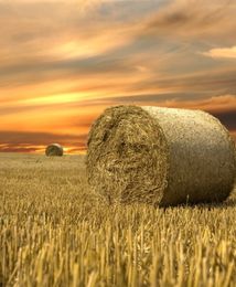 Na ziemi można zarobić