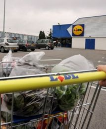 Lidl napędza sprzedaż akcjami tematycznymi