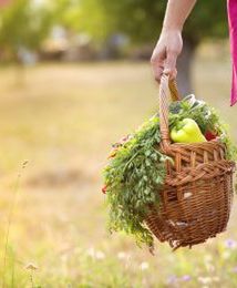 Polacy coraz chętniej sięgają po żywność ekologiczną
