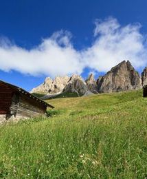 Alpejska osada wystawiona na sprzedaż na portalu aukcyjnym