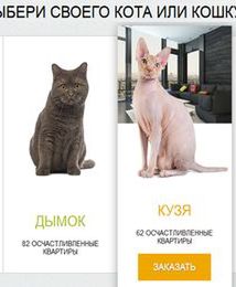 Kot do kredytu mieszkaniowego. Takie rzeczy tylko w Rosji