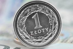 Szczurek: słabszy złoty pożądany