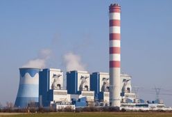 Linia energetyczna Polska-Litwa - rozpoczęto stawianie słupów