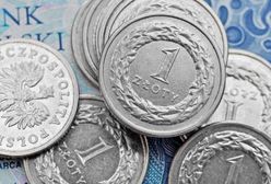 2015 będzie rokiem mocnego dolara i słabego euro. Złoty ma być stabilny