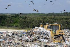 70 ton odpadów z Salwadoru nie trafi do Polski