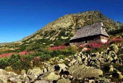 Dom z widokiem na Tatry za milion złotych