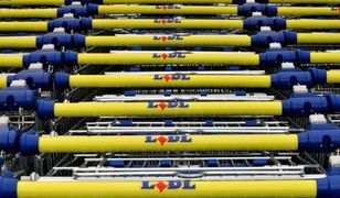 Jak Lidl przyciąga klientów? 5 sprytnych sposobów