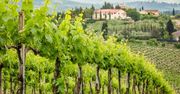 Wielki spór o winnice w Toskanii