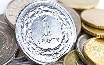 Nieudany tydzień dla polskiej waluty
