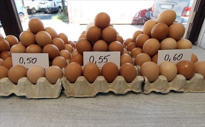 Francja: Rozbite jaja w proteście przeciwko ich niskim cenom