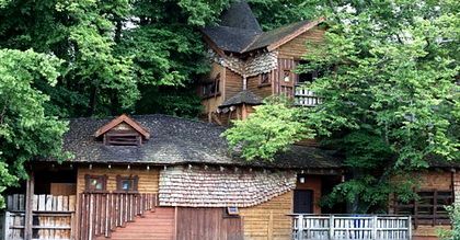 Pieniądze rosną na drzewach