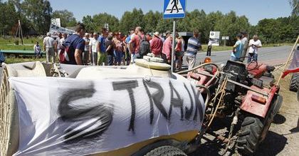 Protesty sadowników przeciwko niskim cenom skupu