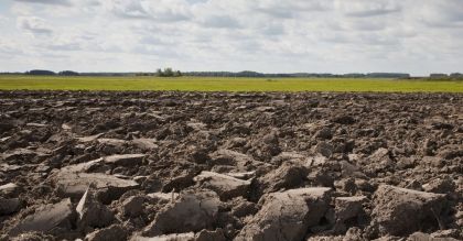 Ziemia rolna drożeje o 18% rocznie