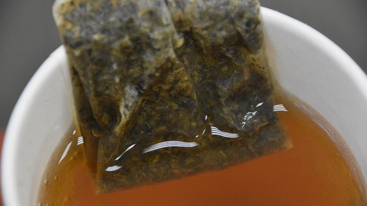 Wedle opublikowanego raportu, napar znacząco obniżył poziom glukozy we krwi na czczo