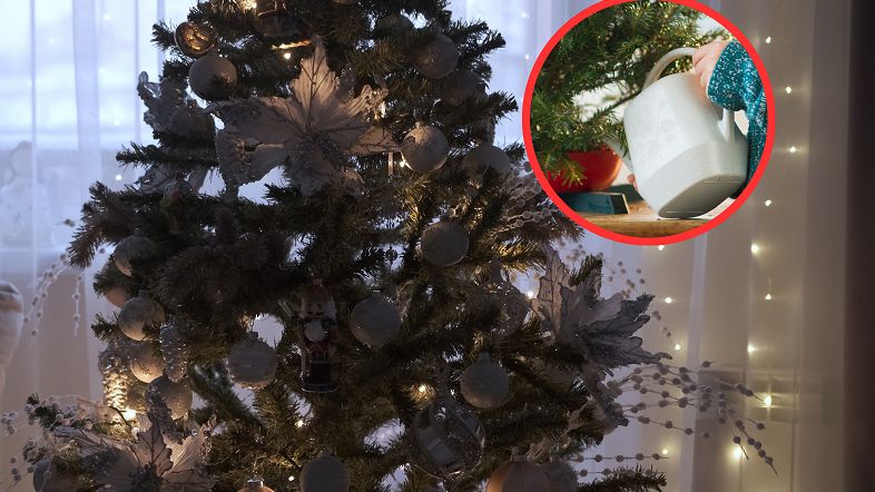 Jak przedłużyć trwałość choinki? Domowe sposoby