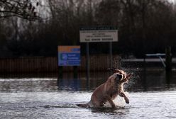 Powódź w Wielkiej Brytanii