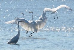 Jakie będą kolejne miesiące?