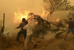 Pożary w Portugalii i w Stanach Zjednoczonych
