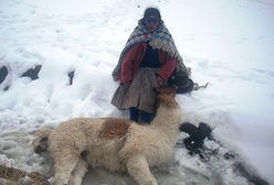 Rekordowe śnieżyce w Peru