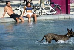 Sezonowa prognoza pogody