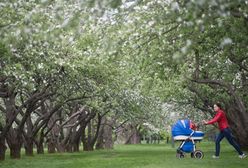 Prognoza długoterminowa