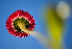 Prognoza pogody na długi weekend majowy