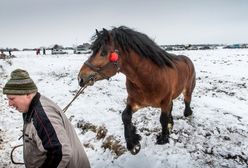 Nadchodzi okres rekordowych mrozów