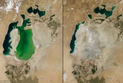 Te zdjęcia pokazują, jak zniszczyliśmy planetę