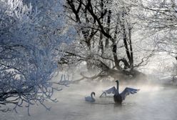 Niezwykłe, ważne odkrycie brytyjskich naukowców