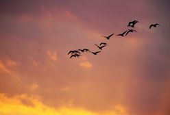 Polskę czeka ekstremalna pogoda! Prognoza długoterminowa