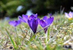 Zadziwiająca prognoza sezonowa!