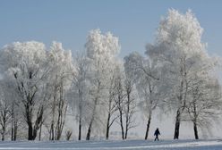 Prognoza pogody na luty 2017