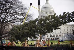 Szykują się na święta