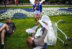 Wyścig wózków sklepowych