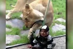 Filmowy przegląd tygodnia